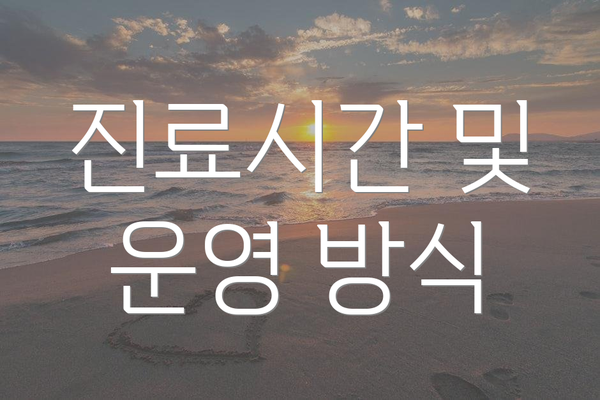 진료시간 및 운영 방식