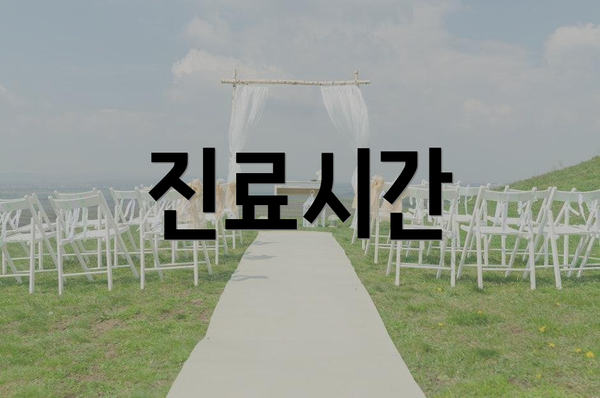 진료시간