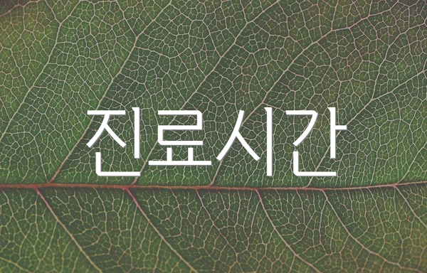 진료시간