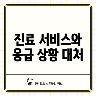진료 서비스와 응급 상황 대처