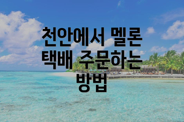 천안에서 멜론 택배 주문하는 방법