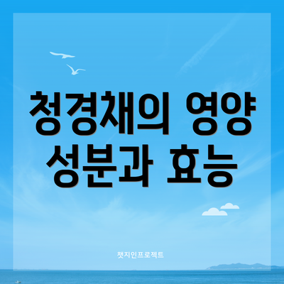 청경채의 영양 성분과 효능