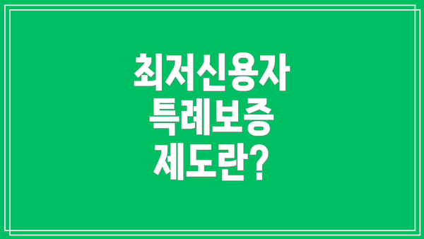 최저신용자 특례보증 제도란?