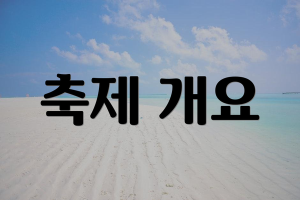 축제 개요