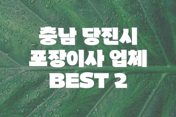 충남 당진시 포장이사 업체 BEST 2