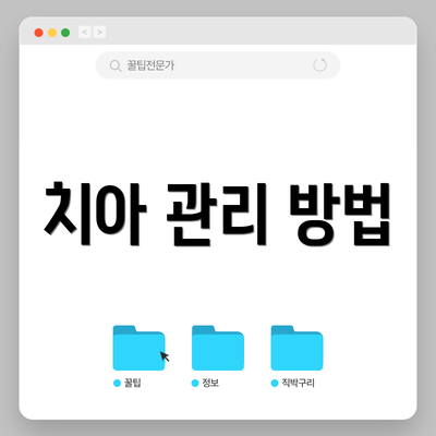 치아 관리 방법