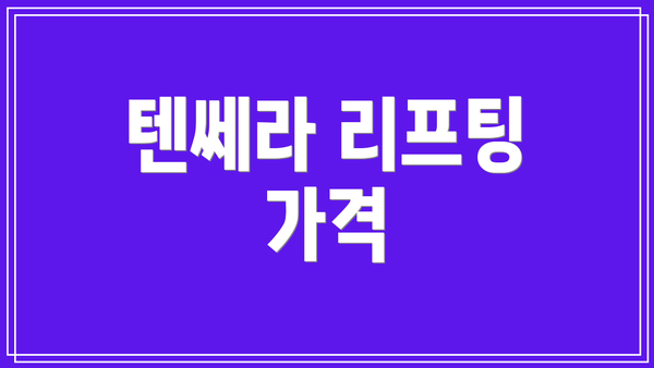 텐쎄라 리프팅 가격