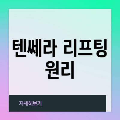 텐쎄라 리프팅 원리