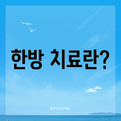 한방 치료란?