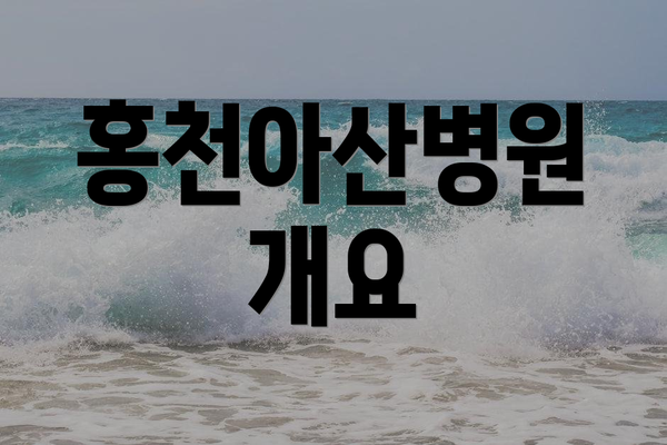 홍천아산병원 개요