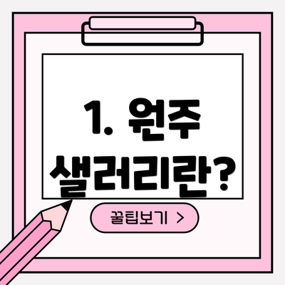 1. 원주 샐러리란?