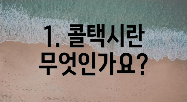 1. 콜택시란 무엇인가요?