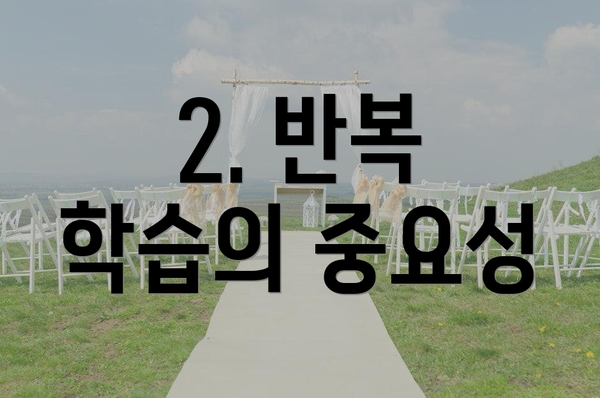 2. 반복 학습의 중요성