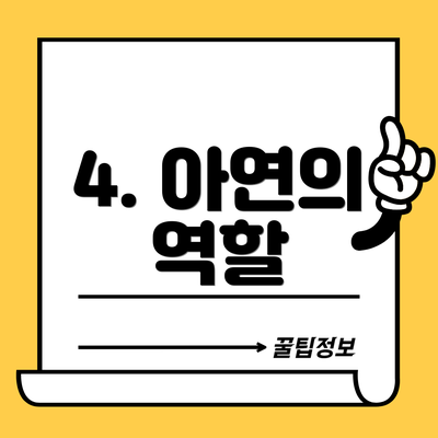 4. 아연의 역할