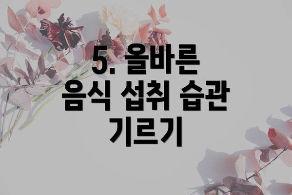 5. 올바른 음식 섭취 습관 기르기