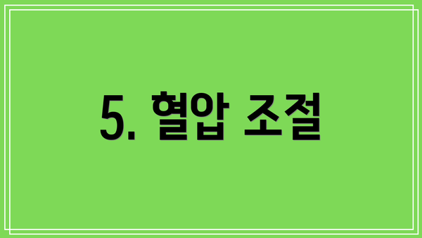 5. 혈압 조절