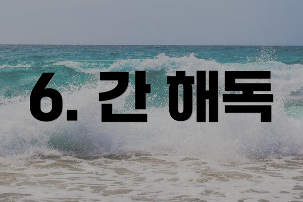 6. 간 해독