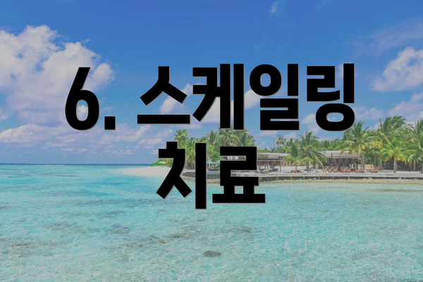 6. 스케일링 치료